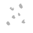 Techforge Infotech